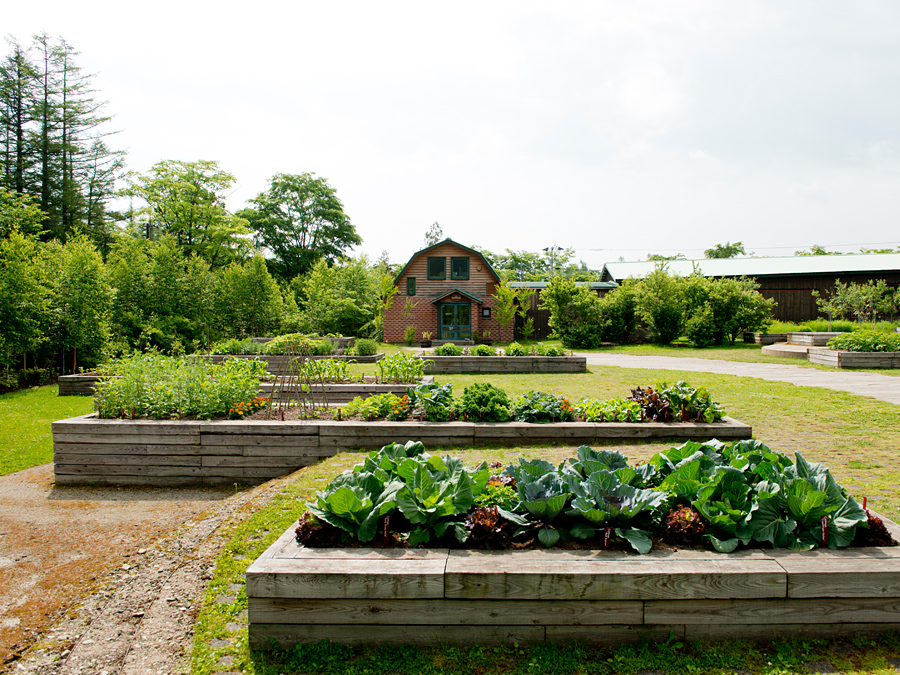 Farm Garden 十勝千年の森ガーデナーズ Tokachi Millennium Forest Gardeners